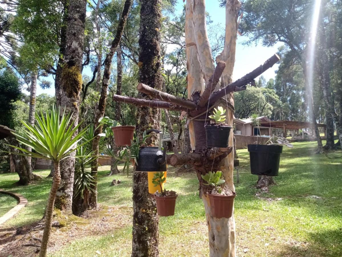 Recanto Da Natureza - Canela Esterno foto