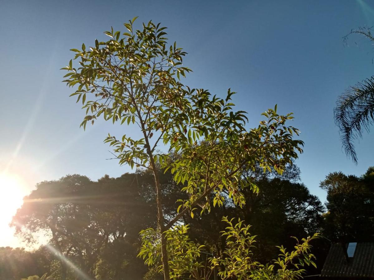 Recanto Da Natureza - Canela Esterno foto