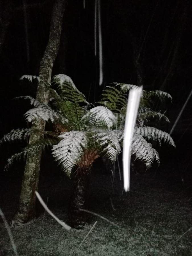 Recanto Da Natureza - Canela Esterno foto